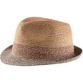 Barts Hoed beige / bruin