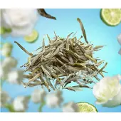 Lampe Berger Navulling - Thé Blanc Pureté - Pure white tea 500ml