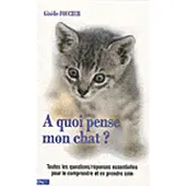 City A quoi pense mon chat ?