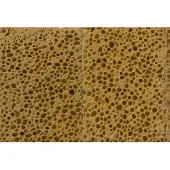 Architects Paper Fotobehang Sponge (set, 4-delig)