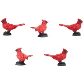 Safari Ltd Belangrijke Onderwijsfiguur 192 Stukken