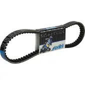 Polini 248.037.2 Transmissie Riem