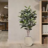 Maxifleur Kunstplanten Elastica Robusta kunstplant 170cm groen