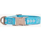 DOGGUO Collar Blauw&Zilver - Hondenhalsband - Kleinste Honden