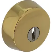 Intersteel | Veiligheidsrozet voor oplegsloten met kerntrekbeveiliging | SKG3 | Messing PVD