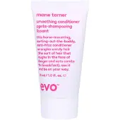 Evo Mane Tamer Conditioner