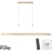Paul Neuhaus Led hanglamp Pure-Moto messing mat