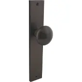 Intersteel knopschild rechthoekig 245x45mm vaste knop en wisselstiftblind - antraciet