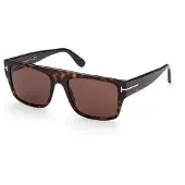 Tom Ford zonnebril Dunning FT0907 52e Shiny Havana Brown