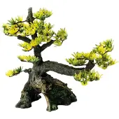Superfish Sf deco bonsai m
