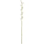 Sjaal met Verhaal Katjestak Vilt - 50cm
