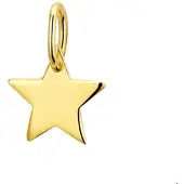 The Jewelry Collection Geelgouden Hanger ster 4019321