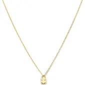 The Jewelry Collection Zilver Verguld Collier slot 1 2101741
