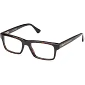 Web WE5432 Bril 55/18/150 Havana Acetaat MAN WE5432