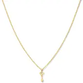 The Jewelry Collection Zilver Verguld Collier sleutel 1 2101740