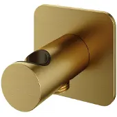 Hotbath Gal GL515 wandhouder met uitlaat geborsteld messing PVD