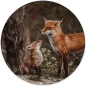 Label2X Muurcirkel foxes