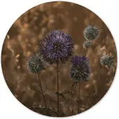 Label2X Muurcirkel purple peace