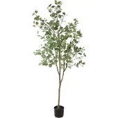 Countryfield Eucalyptus XL groen