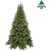 Edelman Kerstboom Tuscan - d183 h365cm groen
