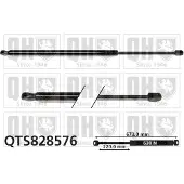 Quinton Hazell QTS828576 Gasveer achterklep