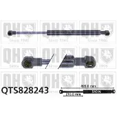 Quinton Hazell QTS828243 Gasveer achterklep