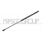 PRASCO OP0179055 Gasveer achterklep