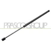 PRASCO VG4509055 Gasveer achterklep