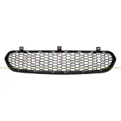BLIC 6502-07-0096912P Ventilatiegrille, bumper
