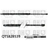 Quinton Hazell QTS828539 Gasveer achterklep