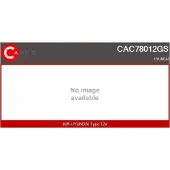 Casco CAC78012GS Aircopomp