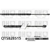 Quinton Hazell QTS828515 Gasveer achterklep
