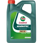 Castrol 15F6BE Motorolie