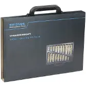 SW-Stahl 80210L Set metalen spiraalboren