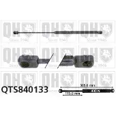 Quinton Hazell QTS840133 Gasveer achterklep