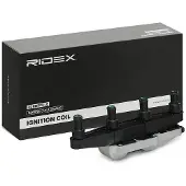 RIDEX 689C0314 Bobine