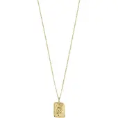 Pilgrim Ketting 'Zodiac Sign Capricornus' goud