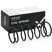 RIDEX 188C0474 Chassisveer