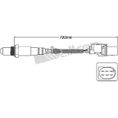 VEGAZ ULS-391 Lambdasonde