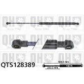 Quinton Hazell QTS128389 Gasveer achterklep