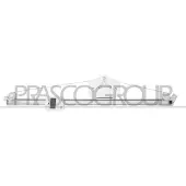 PRASCO DS950W011 Raammechanisme