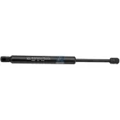 DT Spare Parts 5.17001 Gasveer