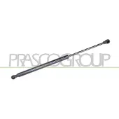 PRASCO ME3089055 Gasveer achterklep