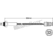 VEGAZ ULS-101 Lambdasonde
