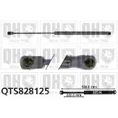 Quinton Hazell QTS828125 Gasveer achterklep