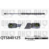 Quinton Hazell QTS840125 Gasveer achterklep