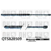 Quinton Hazell QTS828509 Gasveer achterklep