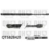 Quinton Hazell QTS828420 Gasveer achterklep