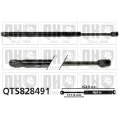 Quinton Hazell QTS828491 Gasveer achterklep