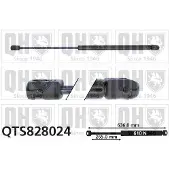 Quinton Hazell QTS828024 Gasveer achterklep